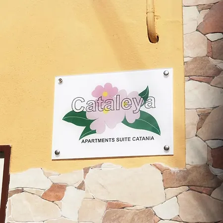 Διαμέρισμα Cataleya Κατάνια